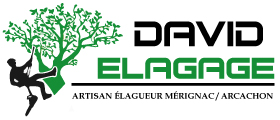 David Élagage, élagueur à Mérignac, Arcachon, Cap Ferret