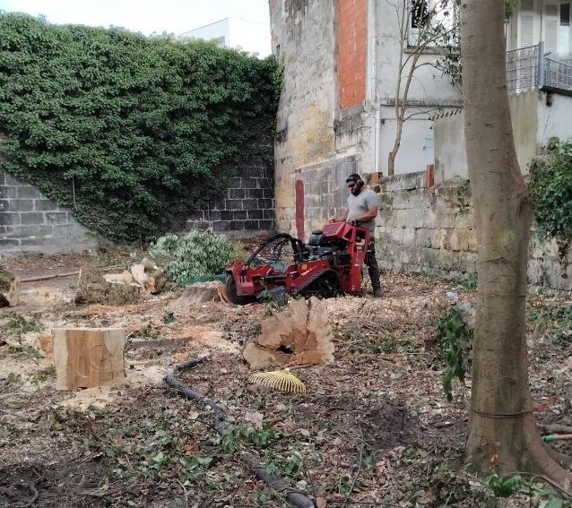 Rognage de souche à Merignac en Gironde (33)